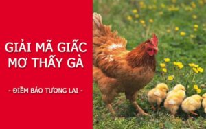 Mơ thấy gà con duy nhất một con